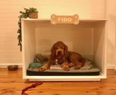 Un perro descansando en la casa del perro Fido.