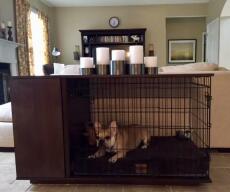 Bosswell el perro en un nogal Fido Studio con un armario adjunto en una sala de estar