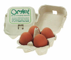 Omlet caja de huevos con 4 huevos