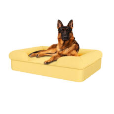 Perro sentado en la cama para perros de espuma con memoria de color amarillo suave