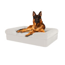 Perro sentado en merengue blanco gran espuma de memoria cama de perro