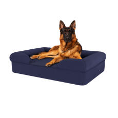 Perro sentado en la cama para perros de espuma con memoria azul medianoche