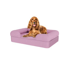 Perro sentado en la cama para perros de espuma con memoria lavanda lila mediana