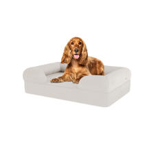Perro sentado en una cama para perros de espuma blanca con memoria de merengue