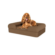 Perro sentado en una cama para perros de espuma con memoria de color marrón moca