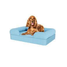 Perro sentado en la cama para perros de espuma de memoria de color azul cielo mediano