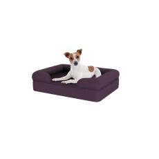 Perro sentado en una pequeña cama de espuma de memoria púrpura para perros