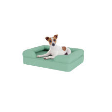 Perro sentado en una pequeña cama de espuma de memoria azul turquesa para perros