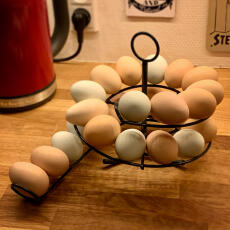 Huevos en negro Omlet egg skelter