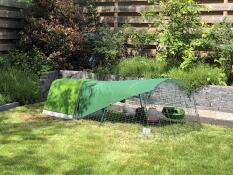 Un gallinero verde y un corral con cubierta, en un jardín