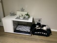 Omlet Fido Studio muebles para perros