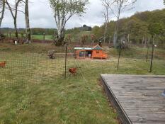 Omlet vallas para pollos en el jardín