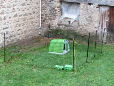 Omlet verde Eglu Go gallinero de plástico y Omlet valla para pollos en el jardín