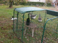 Nuestro recinto para conejos Omlet