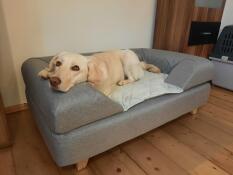 Topology cama para perros de espuma viscoelástica grande