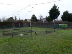 Dos gallinas detrás de una valla en un jardín con un gallinero Eglu Cube 