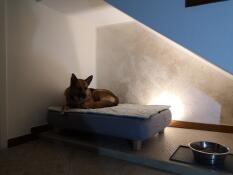 Un perro que se relaja en su cama gris con acolchado