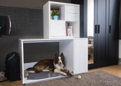 Una cama para perros de color blanco Fido nicho con un armario adjunto y con un gran perro marrón y blanco en su interior