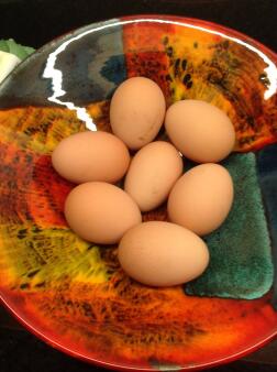Esta semana los huevos de Miss Pepperpot