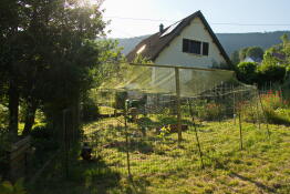Valla para pollos cerrada con malla adicional en la parte superior en un jardín, con una casa al fondo