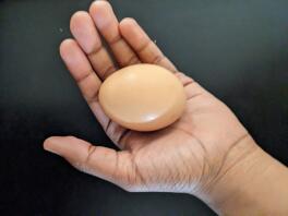 Huevo rojo maduro de rhode island.