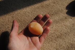 Uno de los primeros huevos de mis gallinas.