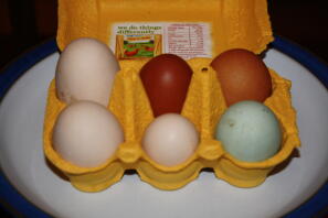 6 hermosos huevos