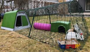 Omlet Eglu conejera con corral, refugio verde Zippi, túnel rosa Zippi y dos conejos