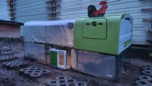 Verde Eglu Cube gran gallinero y corral con Omlet puerta automática verde para gallinero
