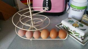 Nuestros primeros huevos en nuestro egg skelter!! me encanta!! x