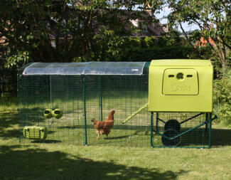 Verde Eglu Cube gallinero con corral y cubierta transparente con un pollo en el corral