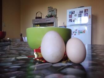 Dos huevos frescos sobre la mesa de la cocina