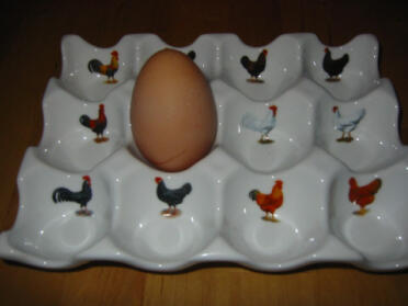 Primer huevo de Florries - 7 de diciembre de 2006