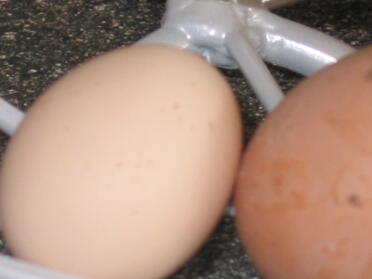 Asar el primer huevo de Black Rock -34g