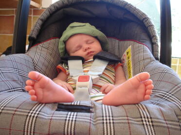 Tomando una siesta - 7 semanas de edad