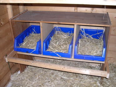 Cajas nido: las cajas de plástico facilitan la limpieza