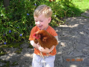 Teddy sosteniendo su gallina Rosiepop por primera vez.
