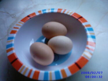 Primeros huevos, todos puestos el mismo día: 0)