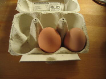 primeros huevos!