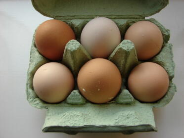 ¡Nuestra primera casa llena! Un huevo de cada una de las niñas hoy - 11 de febrero de 2008