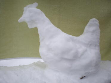 Snow pollo