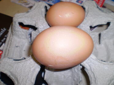 ¡Huevo enorme! 109 gramos !!