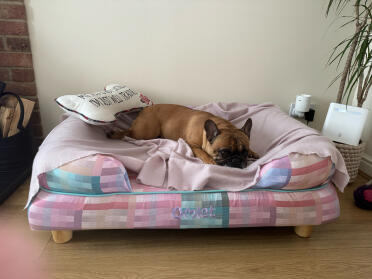 A belle le encanta su nueva cama