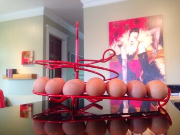 ¡nos encanta nuestro nuevo egg skelter!