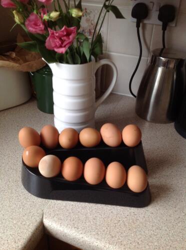 La rampa de huevos tiene capacidad para 12 huevos