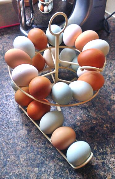 La huevera es la manera perfecta de mostrar mis hermosos huevos mientras los mantenGo en orden de fecha. ¡¡me encanta!