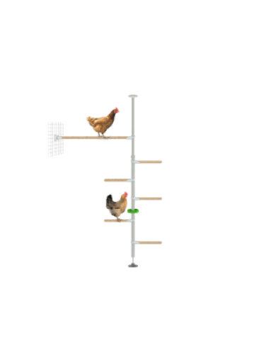 Poletree sistema de perchas para gallineros - el kit hendurance