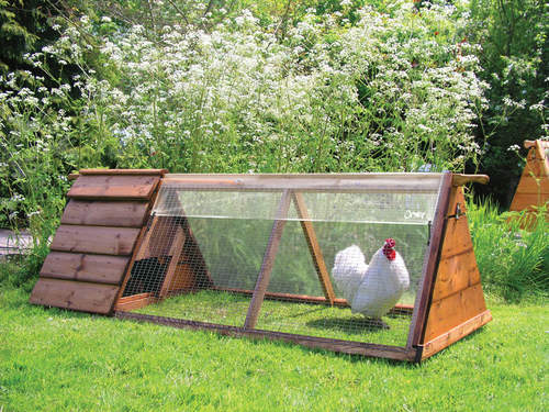 Cubierta transparente mostrada en el arca de pollo forsham