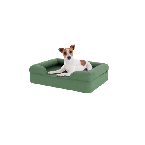 Perro sentado en una cama para perros de espuma con memoria de color verde salvia