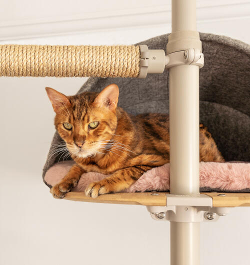 Un gato sentado en la guarida de plataforma de piel de oveja rosa.